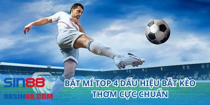 Bật mí top 4 dấu hiệu bắt kèo thơm cực chuẩn