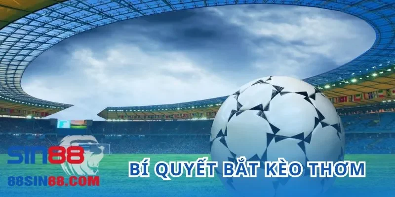 Bí quyết bắt kèo thơm