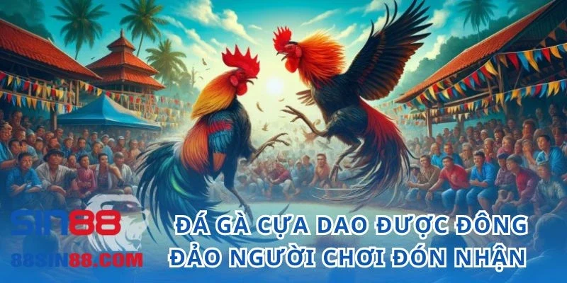 Đá gà cựa dao được đông đảo người chơi đón nhận 