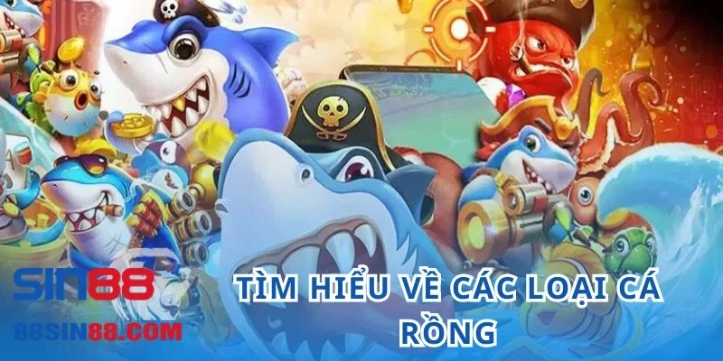 Tìm hiểu về các loại cá rồng